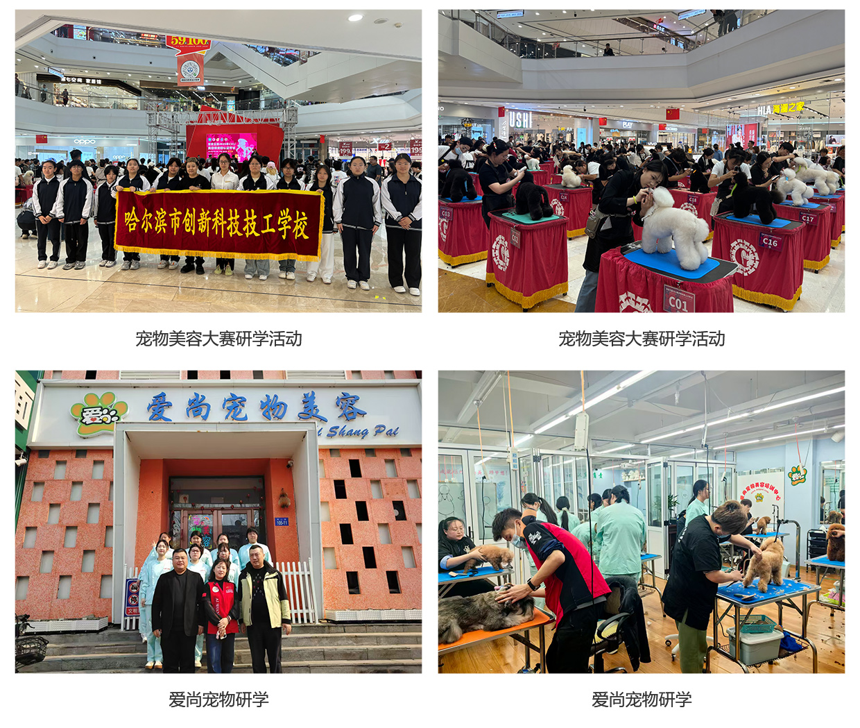单招_0116.jpg